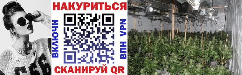 Наркота Очёр Каннабис  ТГК  МЕФ  A PVP  Амфетамин 
